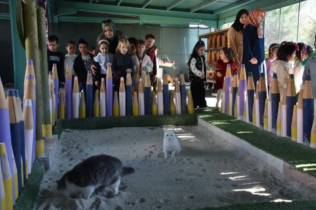 Kayseri Kocasinan