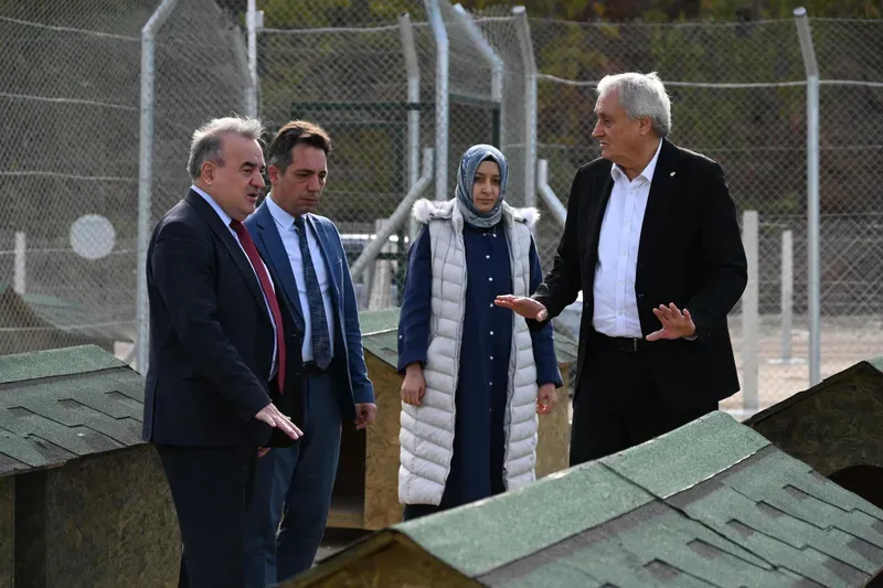 Hayvan Bakımevi ve Doğal Yaşam Alanı