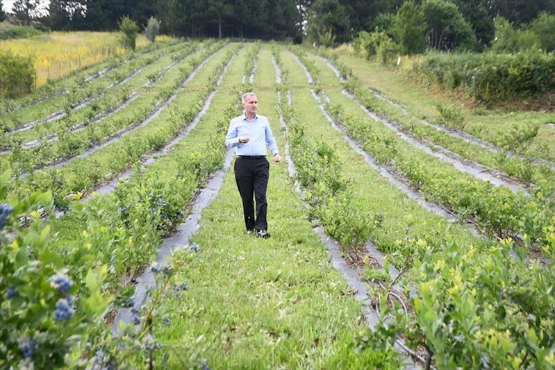 Başkan Alper Taban’dan Dünya Çiftçiler Günü Mesajı: Tarımda İnegöl Modeli İle Geleceğe Yatırım