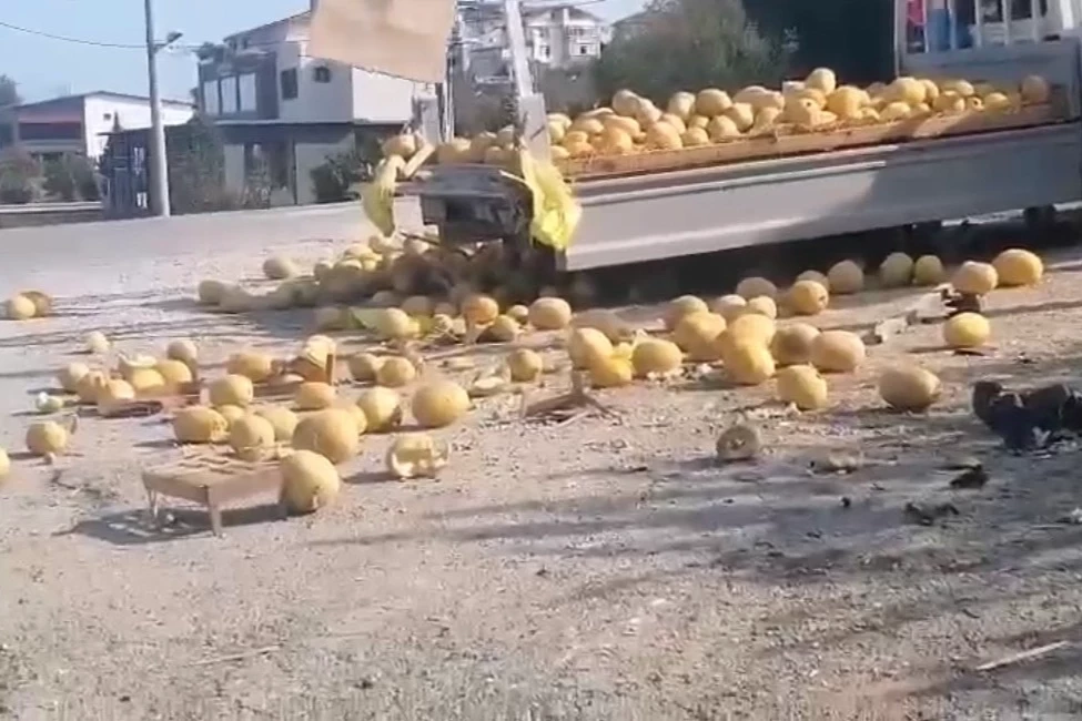Düzce
