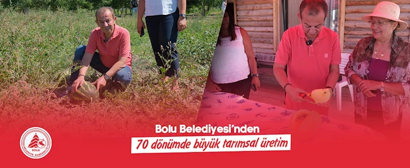 Bolu Belediyesi’nden 70 dönümde büyük tarımsal üretim: