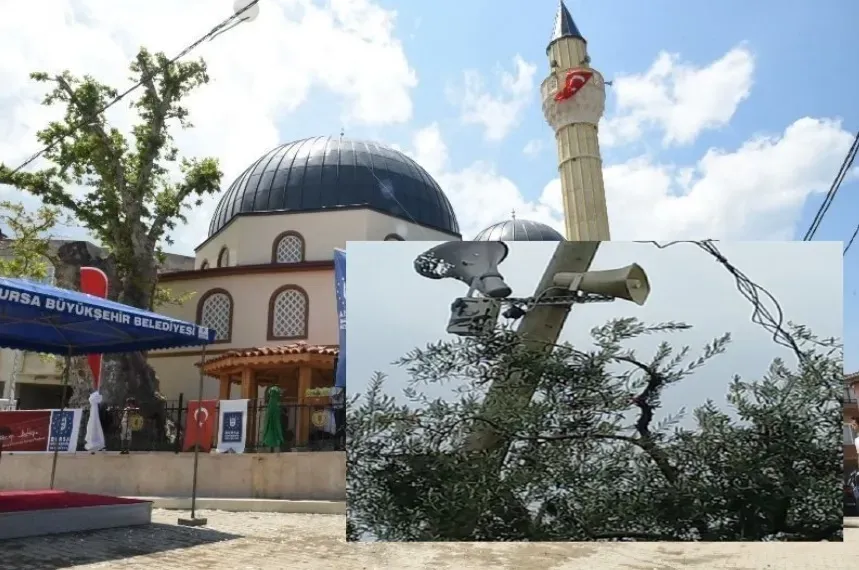 Bursa İznik