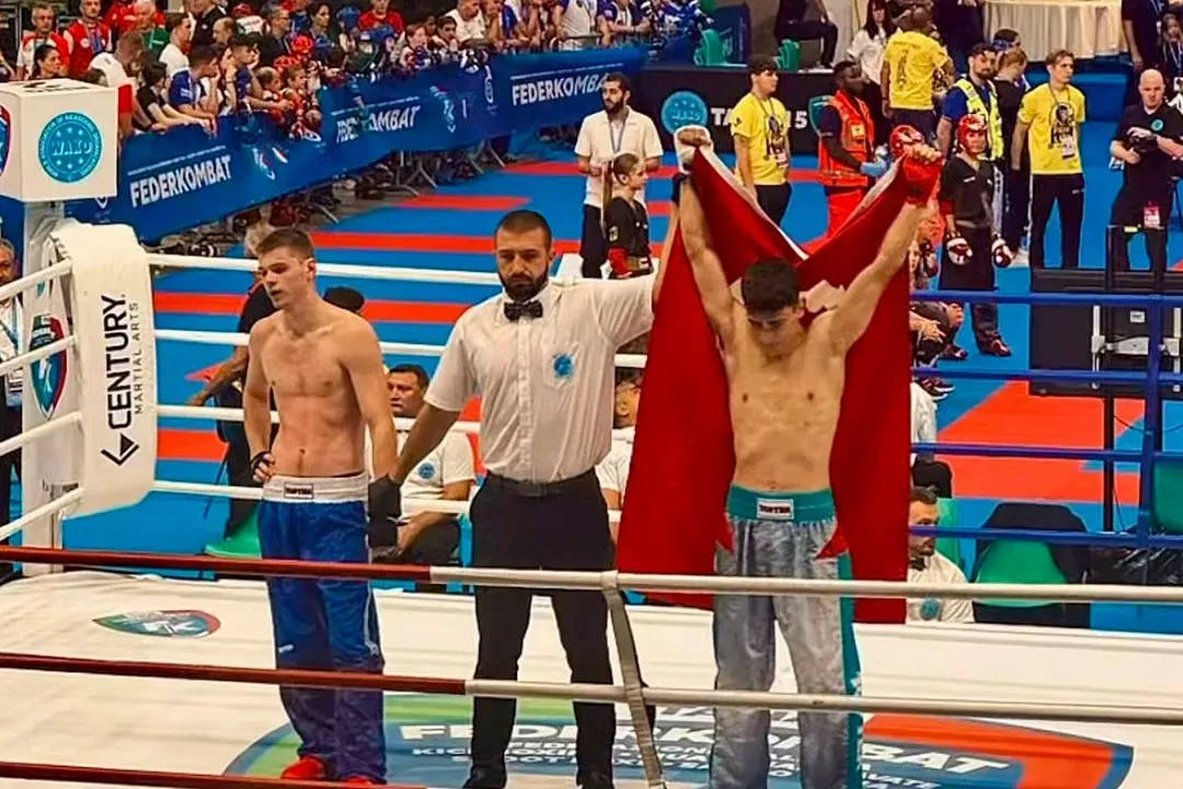Avrupa Kick Boks